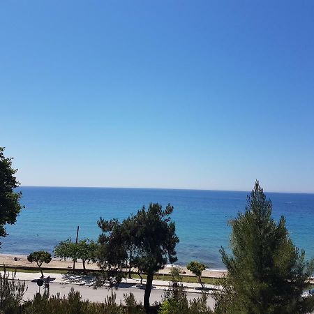 Nea Kallikrateia Estrella Rooms מראה חיצוני תמונה